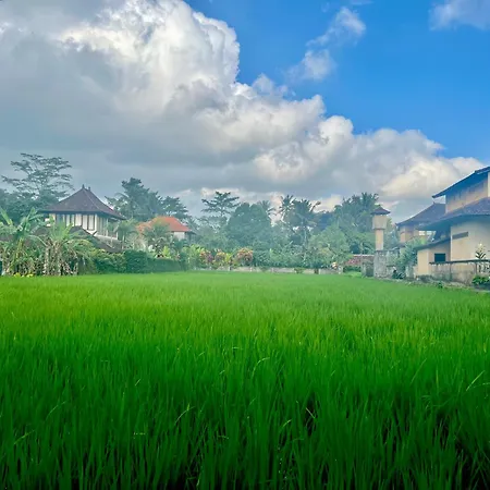 Kolibri Villa Ubud The Beautiful Private Villa With Private Pool